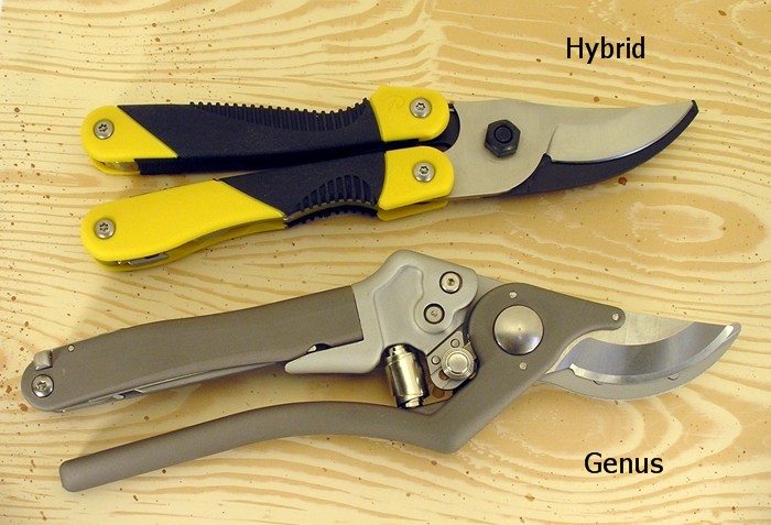 Genus -vs- Hybrid